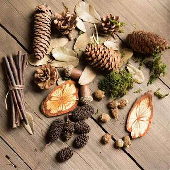 MINI Krásne Prírodné sušené kvety Pinecone Série Vianočné Ozdoby pre domácich Kutilov, Darčeky Box Umelé Rastliny Veľkoobchod